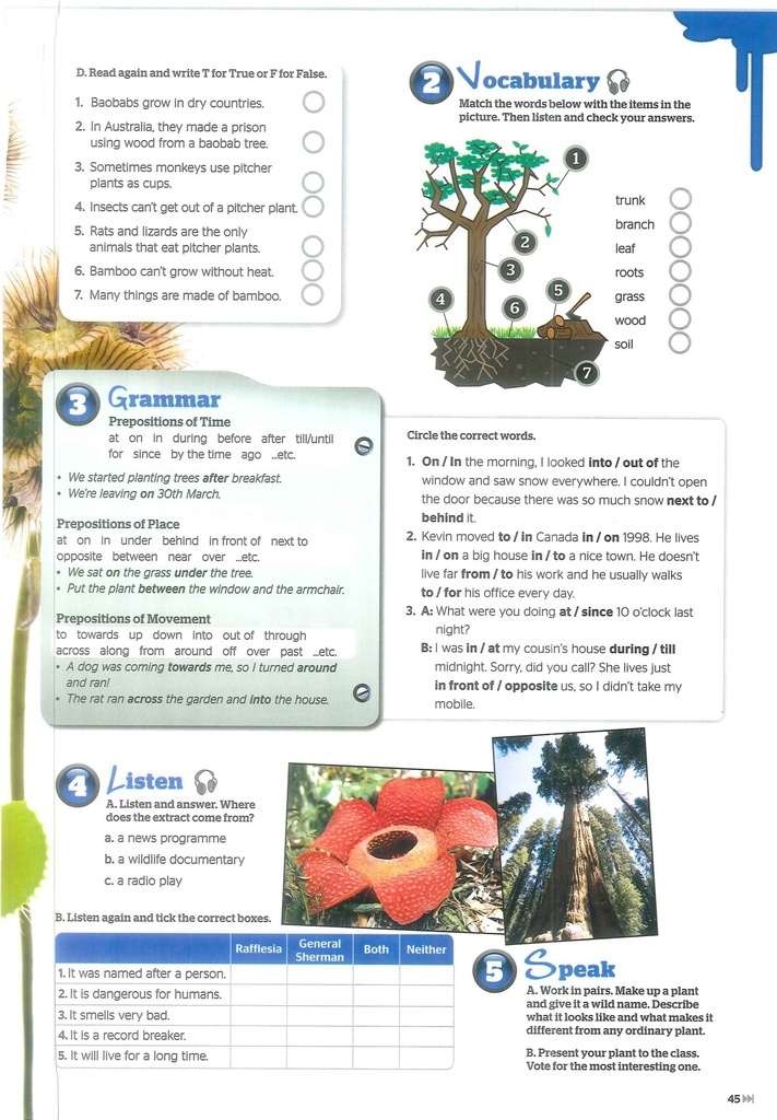 Vocabulary , Listen , Grammar and Speak