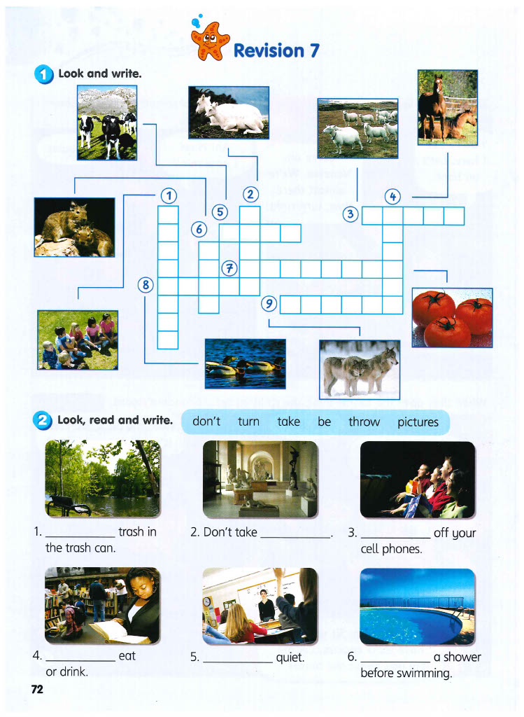 Revision 7