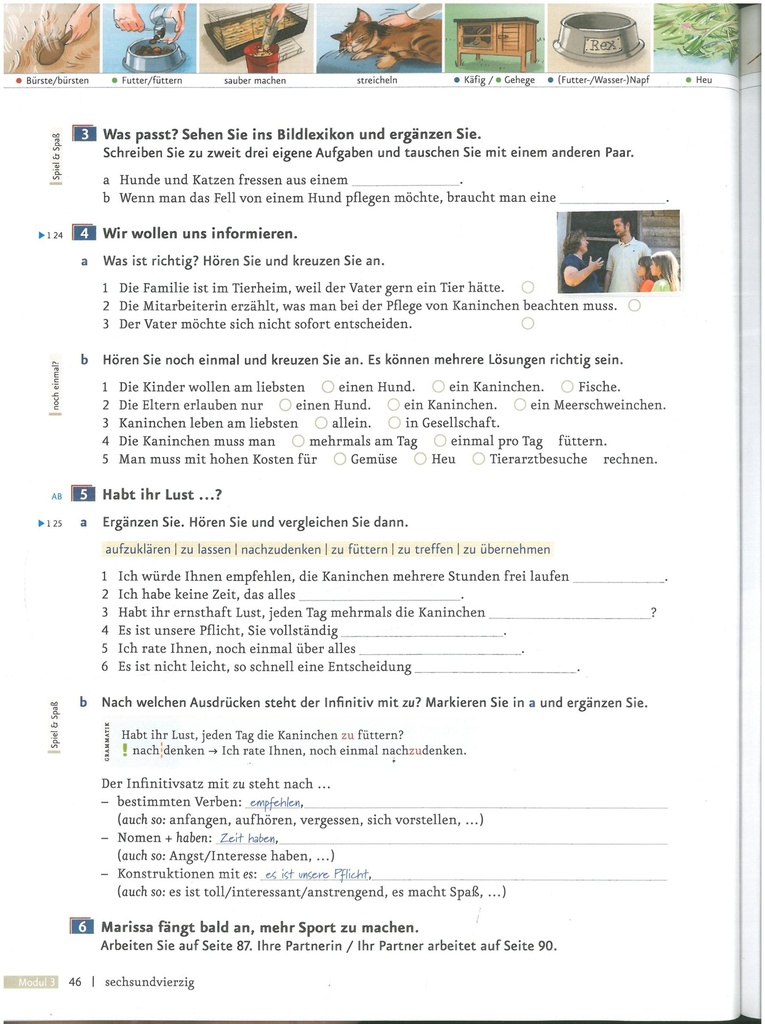 B1.1  Was passt? Sehen Sie ins Bildlexikon und ergänzen Sie. (seite 46)