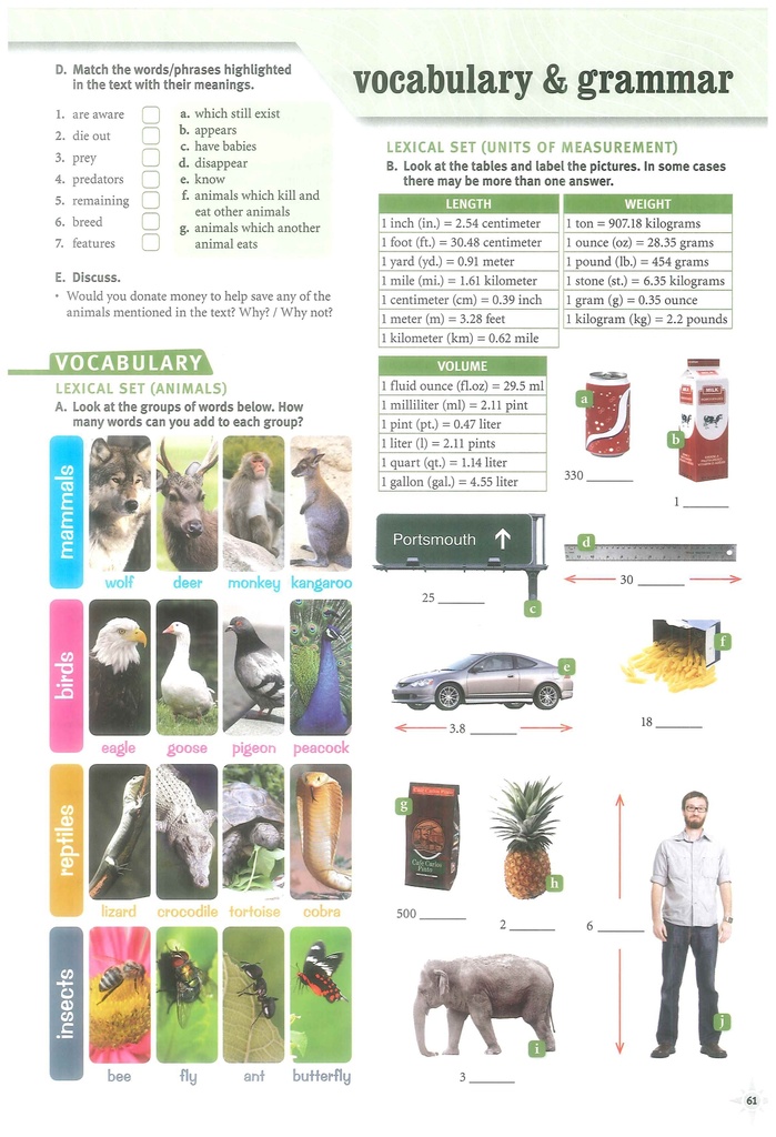 4B Vocabulary and Grammar