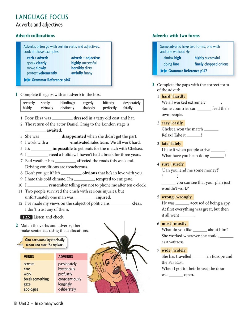 Language Focus