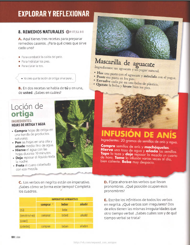 100 Remedios Naturales