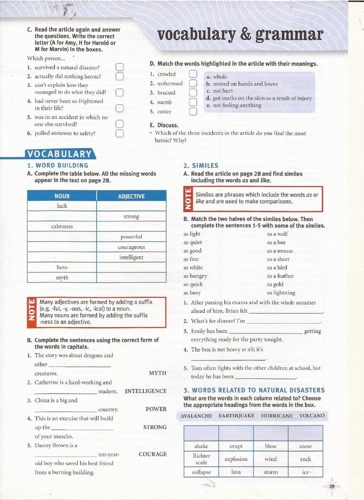 Vocabulary & Grammar