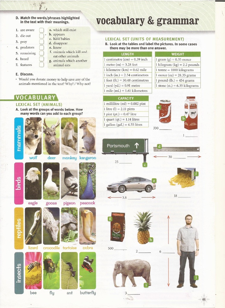 Vocabulary & Grammar (pege 61)