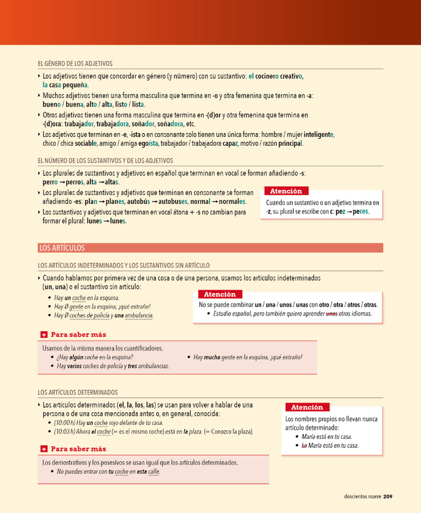 Más gramática (página 209)