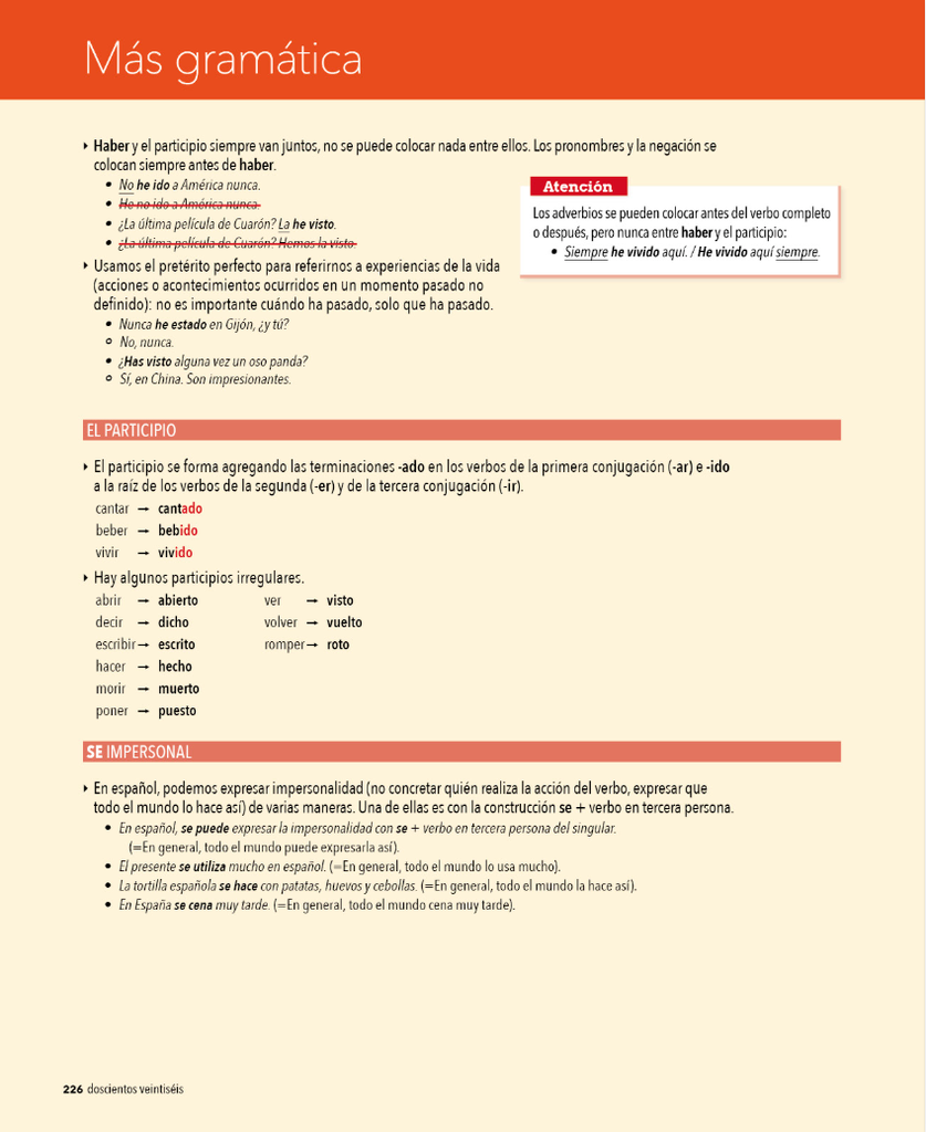 Más gramática (página 226)